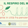 Logo del webinar Il respiro del mondo