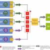 schema valorizzazione sansa