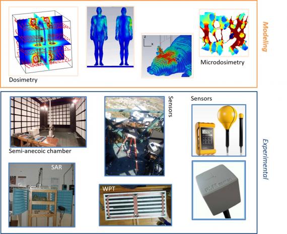 Expertise dell'infrastruttura di bio-elettromagnetismo del centro ricerche Casaccia