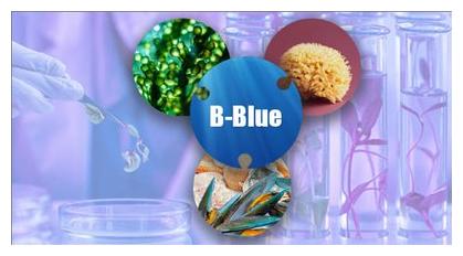 Progetto B-Blue