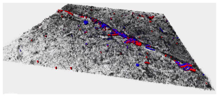 Ricostruzione tridimensionale di un filamento di PET 