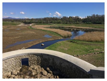 Area di fitodepurazione all’interno delle vasche di laminazione del Fiume Lura