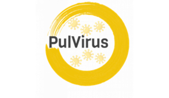 Logo del progetto Pulvirus