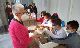 Laboratorio sulle microplastiche: bambini che selezionano le microplastiche nella sabbia