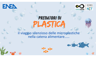 Predatori di plastica MCE