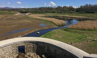 Area di fitodepurazione all’interno delle vasche di laminazione del Fiume Lura