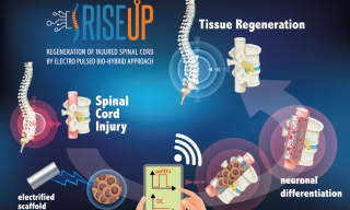 Schema del progetto RISEUP