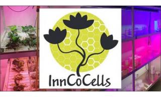 logo inncocells