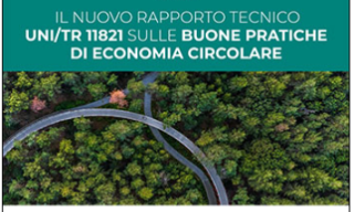 Titolo Webinar e immagine di alberi