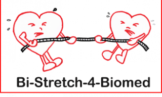 logo bi-stretch