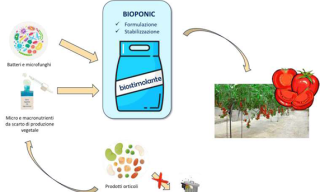 BIOPONIC project