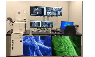 Laboratorio di Microscopia Elettronica a Scansione ad alta risoluzione ZEISS Merlin® del C.R. ENEA Brindisi.  In blu e verde le micrografie FE_SEM a differenti ingrandimenti della morfologia superficiale del “breviario” sottoposto al trattamento di consolidamento.    