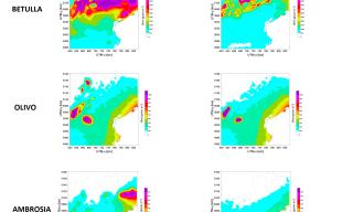 mappe di concentrazioni di vari tipi di pollini